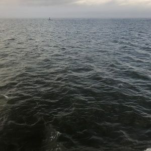 Meet your Posher, Jayda